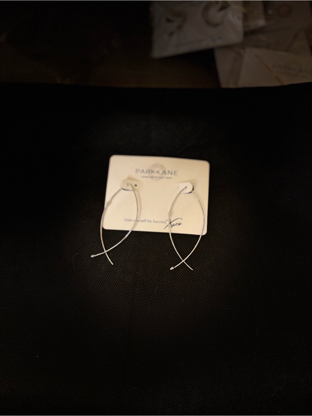Park Lane Silver Twizzler Earrings
